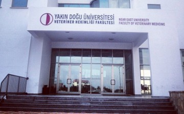 yakin dogu universitesi