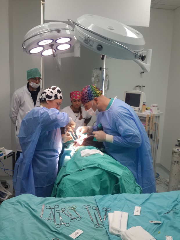 6 Bacaklı “Şanslı” Buzağıya Yakın Doğu Üniversitesi Hayvan Hastanesi’nde 4 Saat Süren Başarılı Operasyon