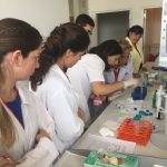 YDÜ Deneysel Sağlık Bilimleri Araştırma Merkezi (DESAM) Bünyesinde “Uygulamalı Hücre Kültürü Kursu” Gerçekleştirildi