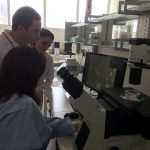 YDÜ Deneysel Sağlık Bilimleri Araştırma Merkezi (DESAM) Bünyesinde “Uygulamalı Hücre Kültürü Kursu” Gerçekleştirildi