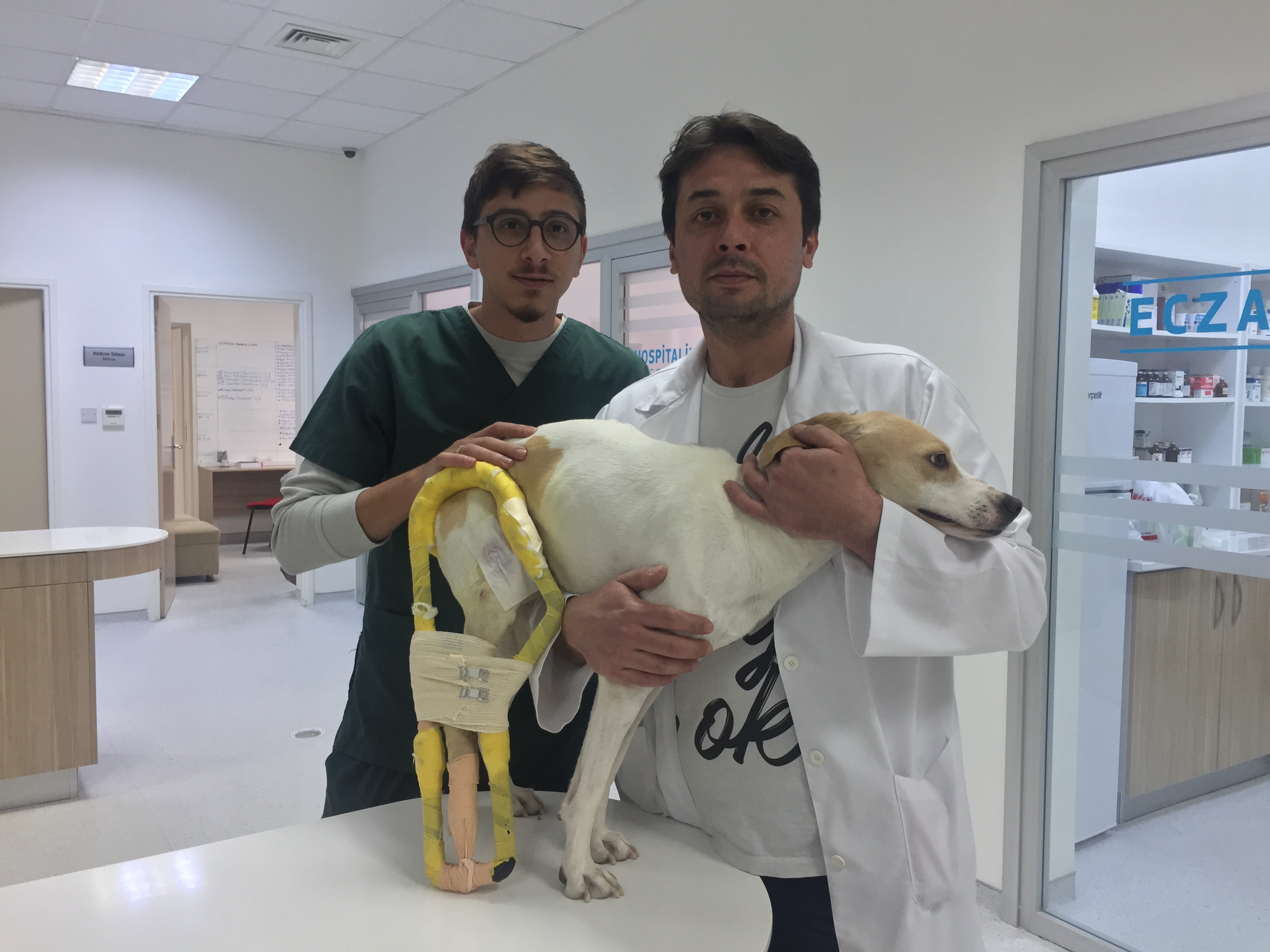 Yakın Doğu Üniversitesinde 3D Yazıcı İle Hayvanlara Özel Splint Üretildi