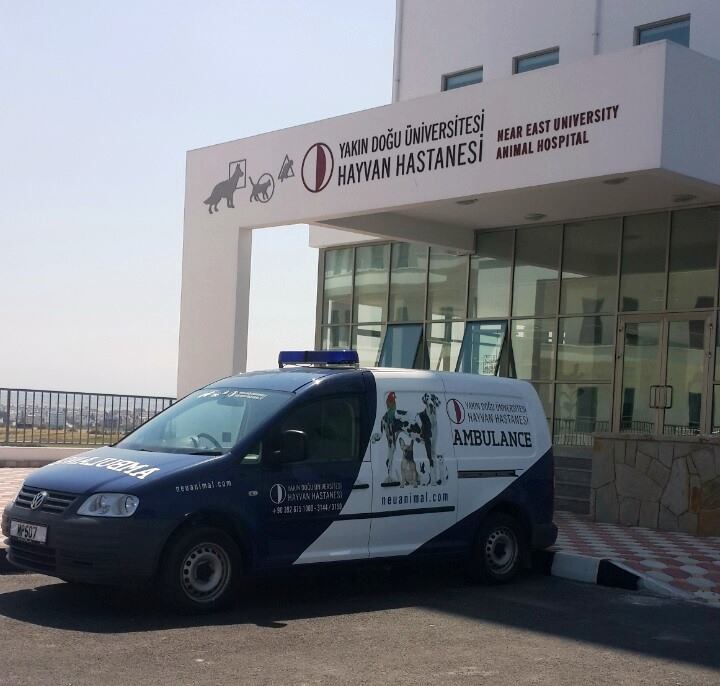 Yakın Doğu Üniversitesi Hayvan Hastanesi 3 yaşında – Near East University