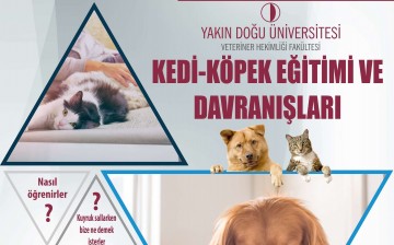 yakin dogu universitesi