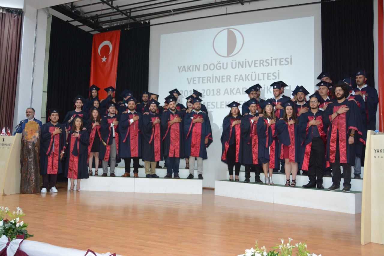 yakin dogu universitesi