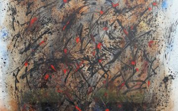 yakin dogu universitesi