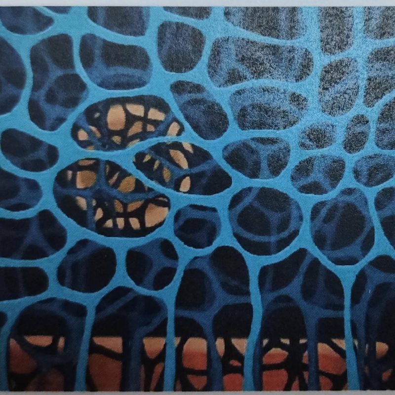 “Gunsel Art Museum” of “GUNSEL” was established Near East University